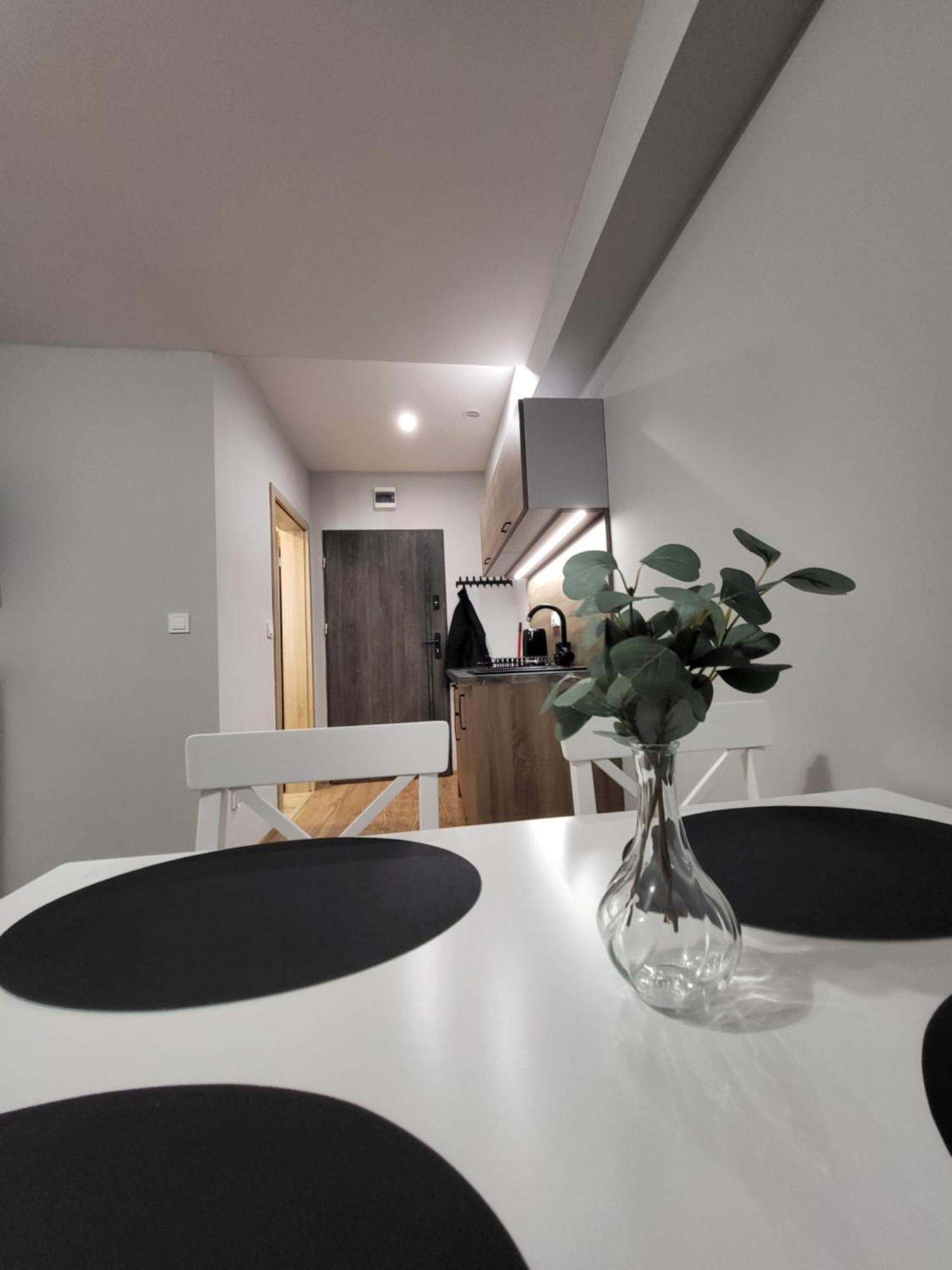 Aparthotel10 Bystrzyca Kłodzka Esterno foto